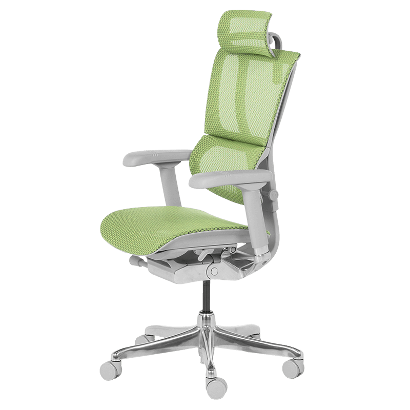 Ергономичен стол ERGOHUMAN IOO ELITE 2 – сива рамка – зелен